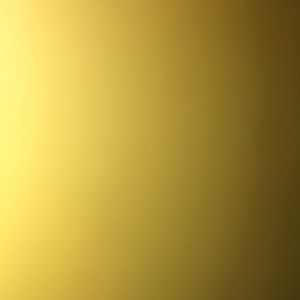 Meet your Posher, Malia